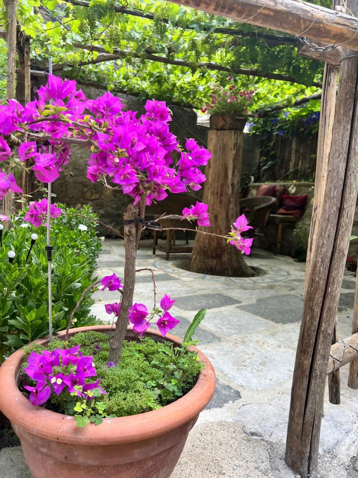 Camerelle Apartments - Casa Vacanze Castellammare di Stabia Esterno foto