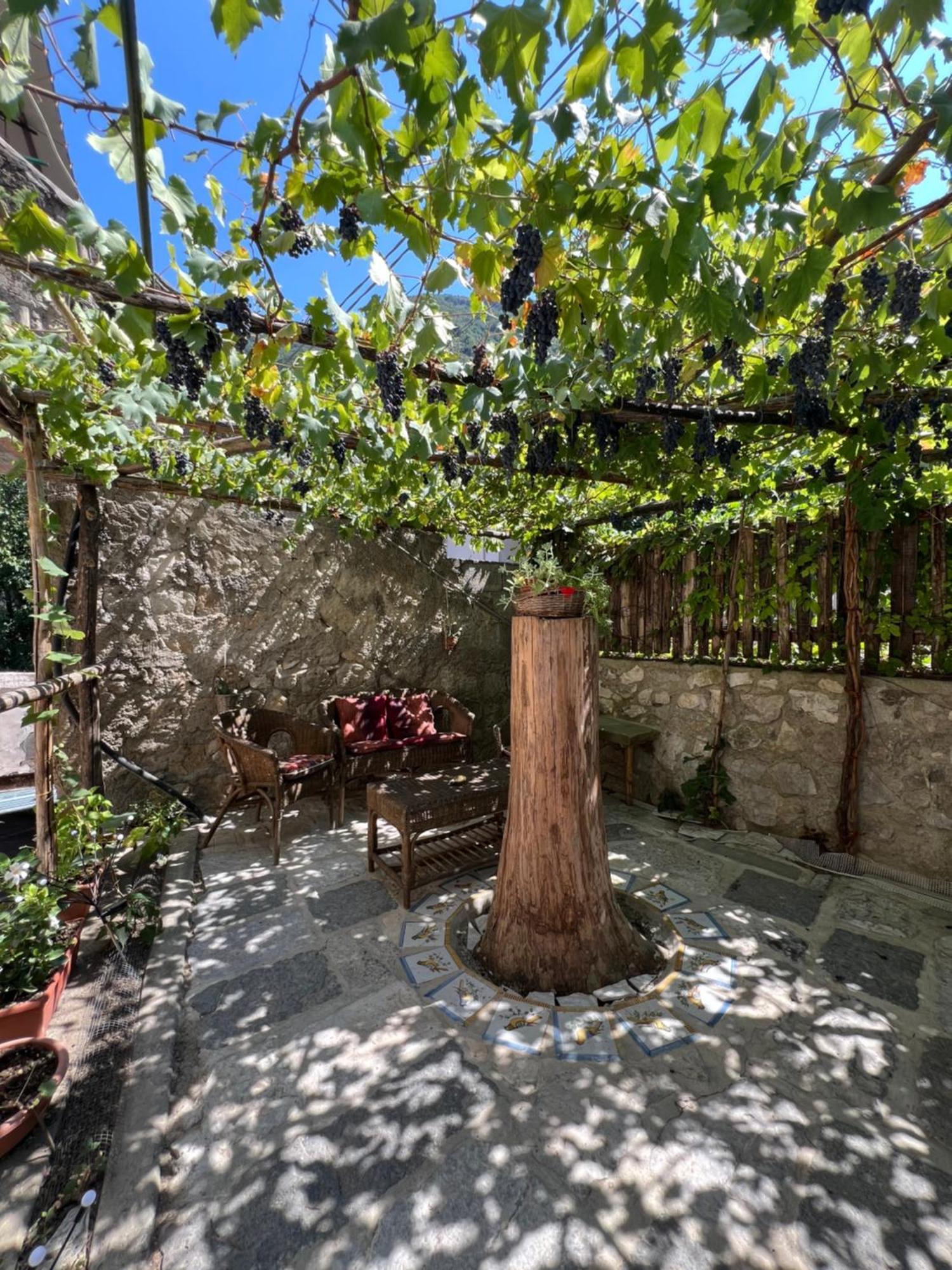 Camerelle Apartments - Casa Vacanze Castellammare di Stabia Esterno foto
